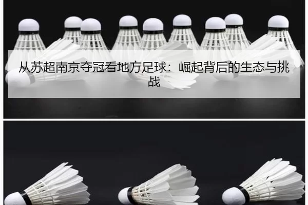 cong-su-chao-nan-jing-duo-guan-kan-di-fang-zu-qiu-jue-qi-bei-hou-de-sheng-tai-yu-tiao-zhan-2-685.jpg